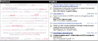 Figure 1. PubCloud offers a summarization of the literature abstracts returned by the PubMed search engine.